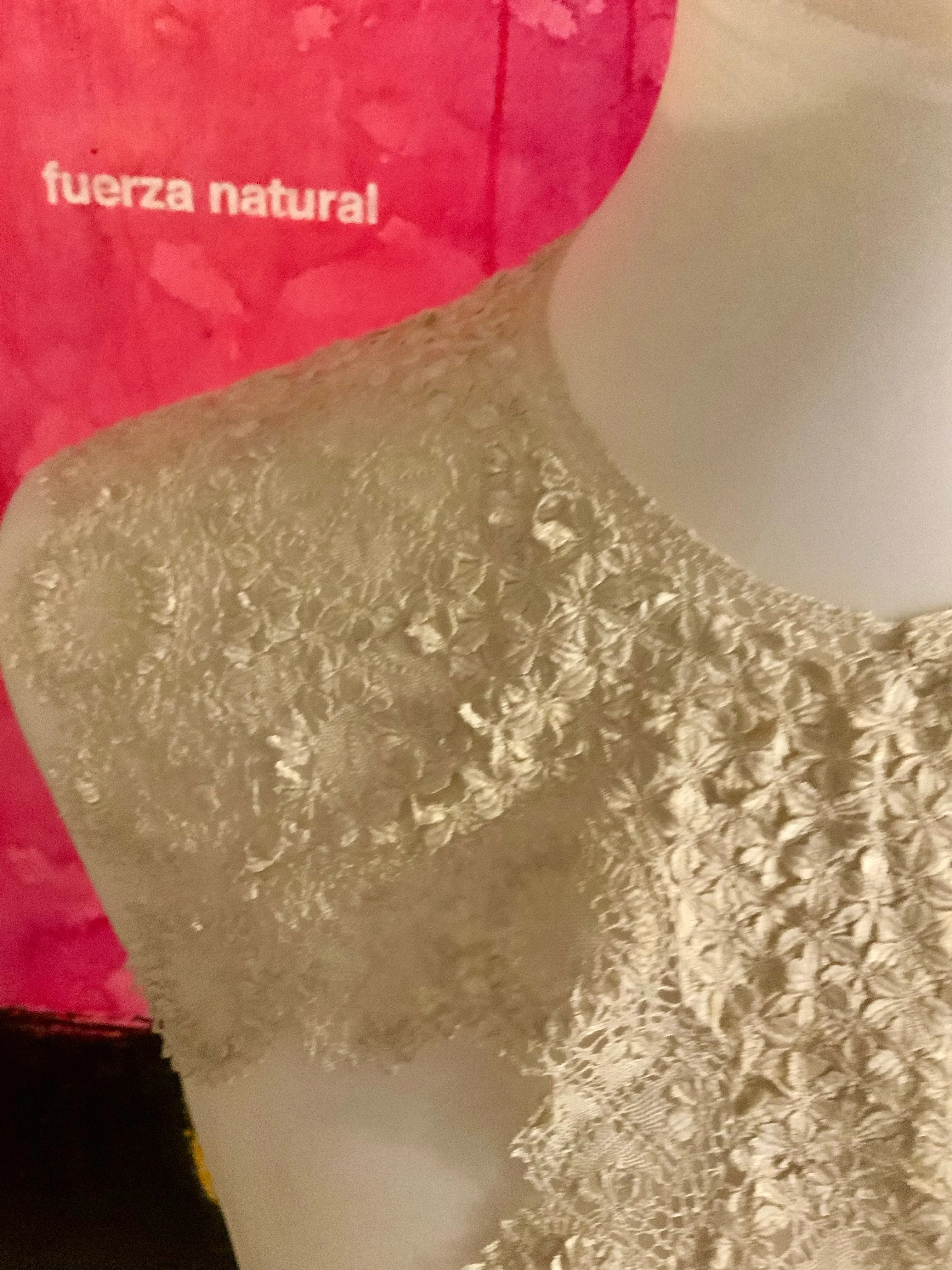Antique Collar - Lace - 1900
