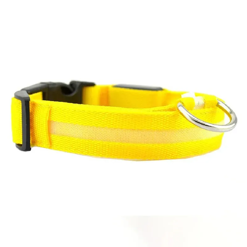 NightGlow LED Collar