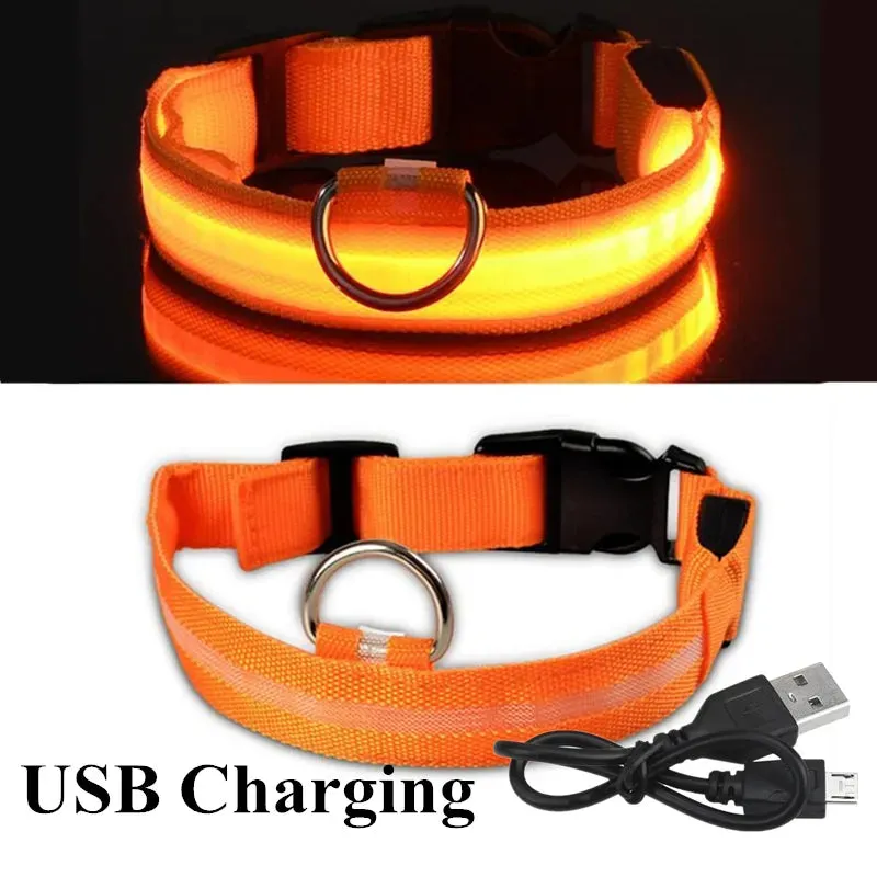NightGlow LED Collar