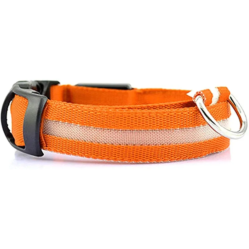 NightGlow LED Collar