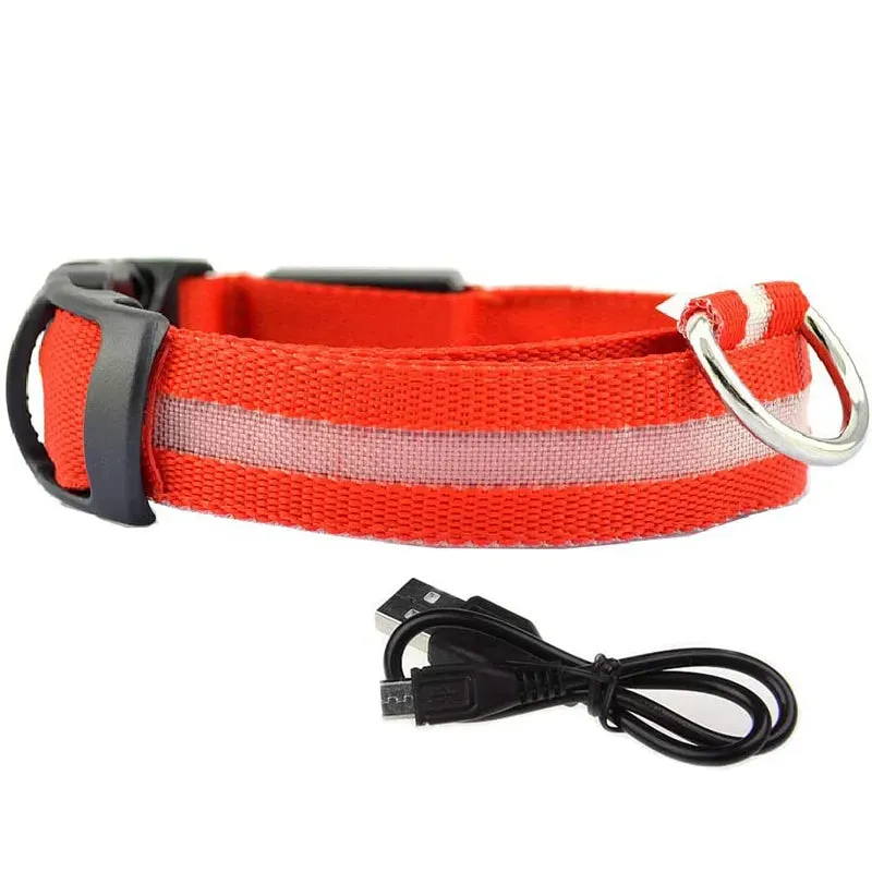 NightGlow LED Collar
