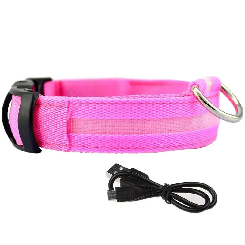 NightGlow LED Collar