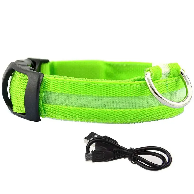 NightGlow LED Collar