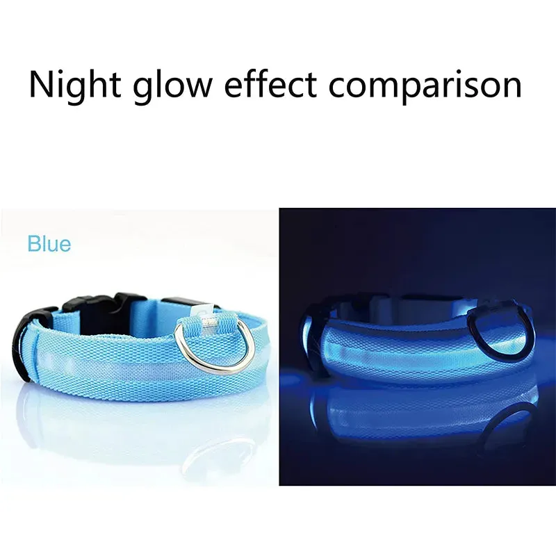 NightGlow LED Collar
