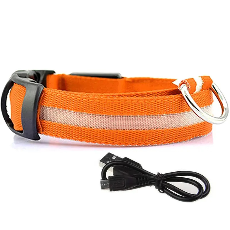 NightGlow LED Collar