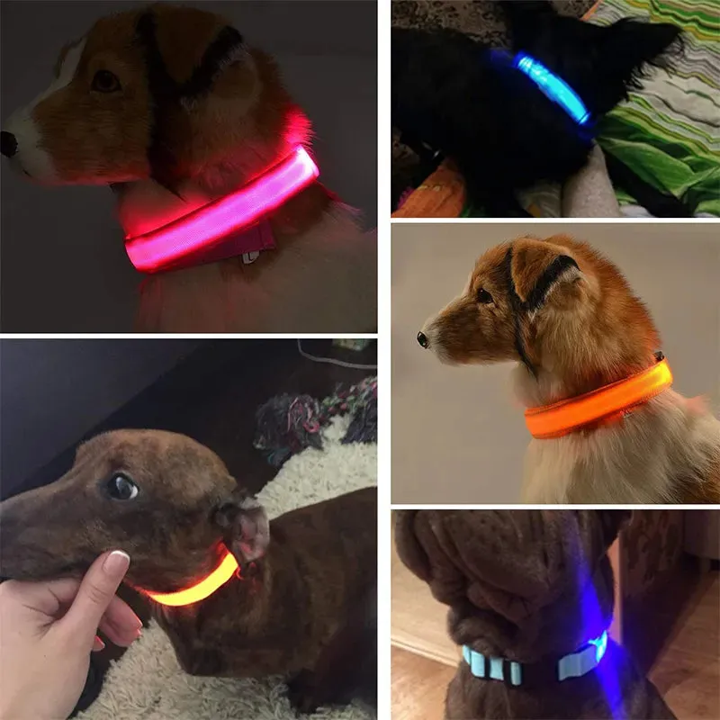 NightGlow LED Collar