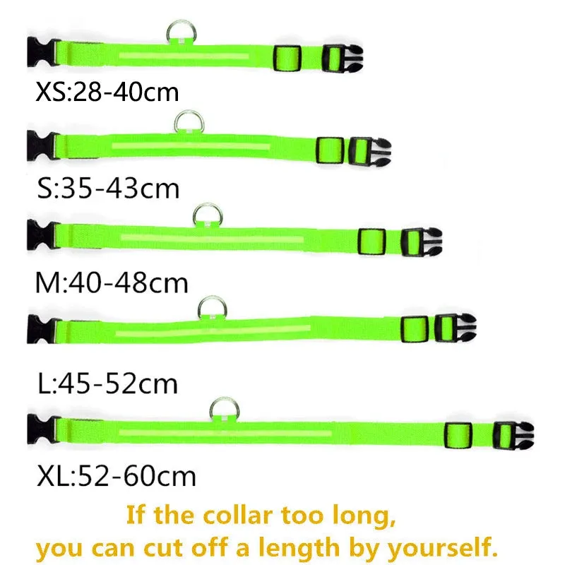 NightGlow LED Collar