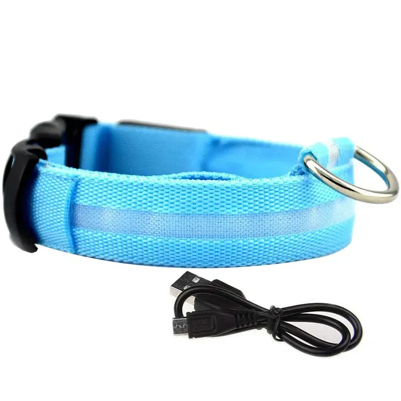 NightGlow LED Collar