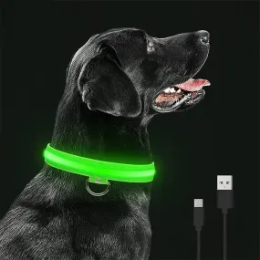NightGlow LED Collar