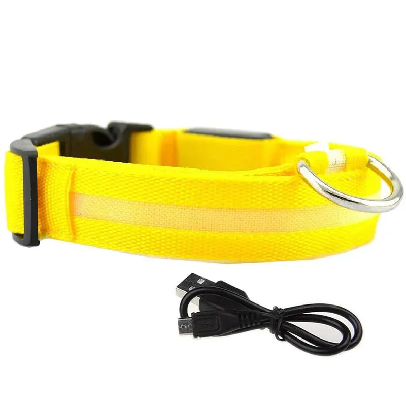 NightGlow LED Collar