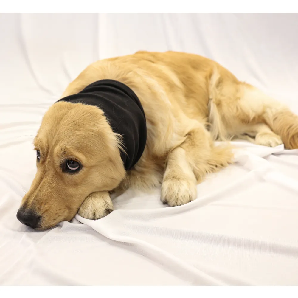 Skatrs Sound Protection Ear Muffs for Dogs and Cats (Black)