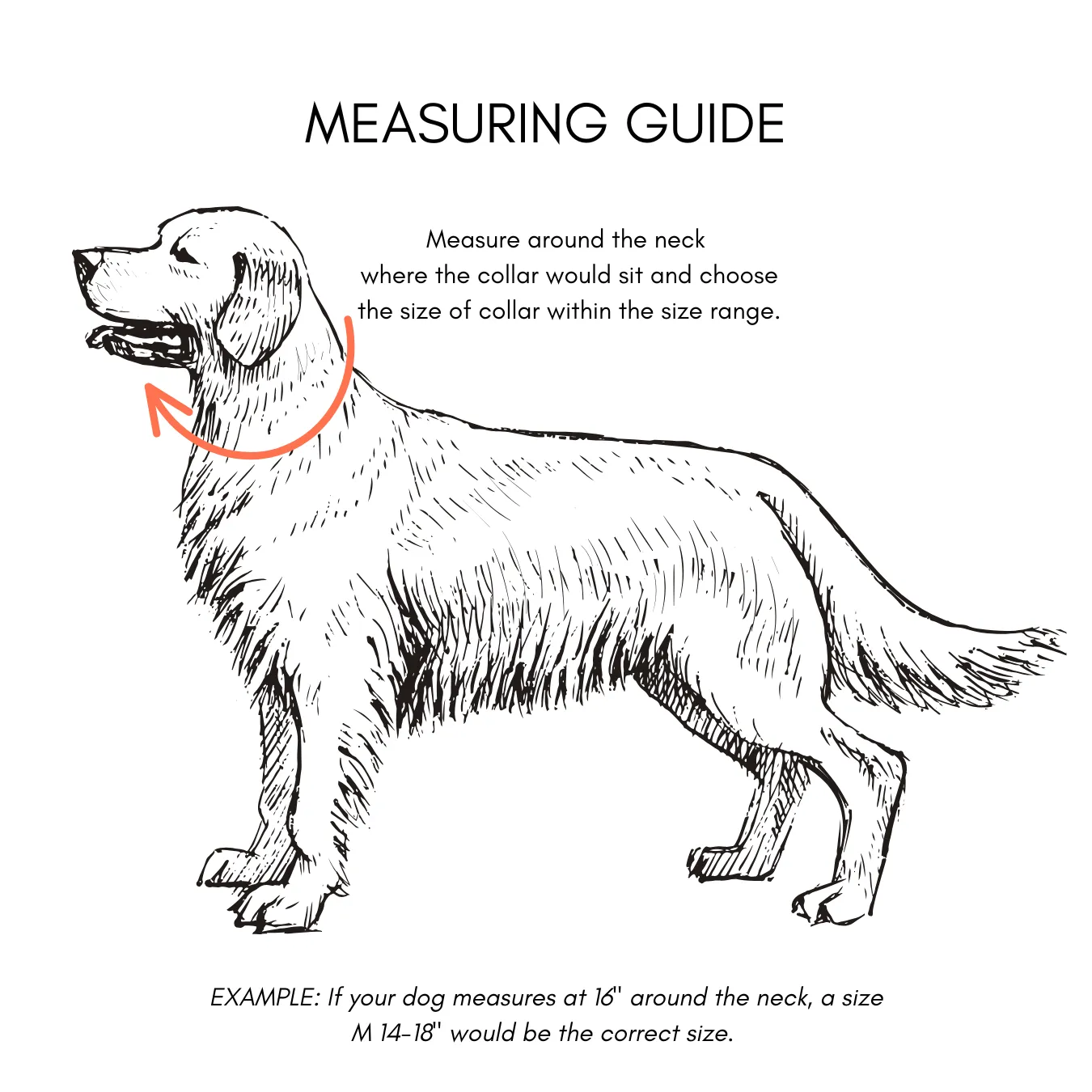 Walk By Good Boy - Biothane Collar - Chili