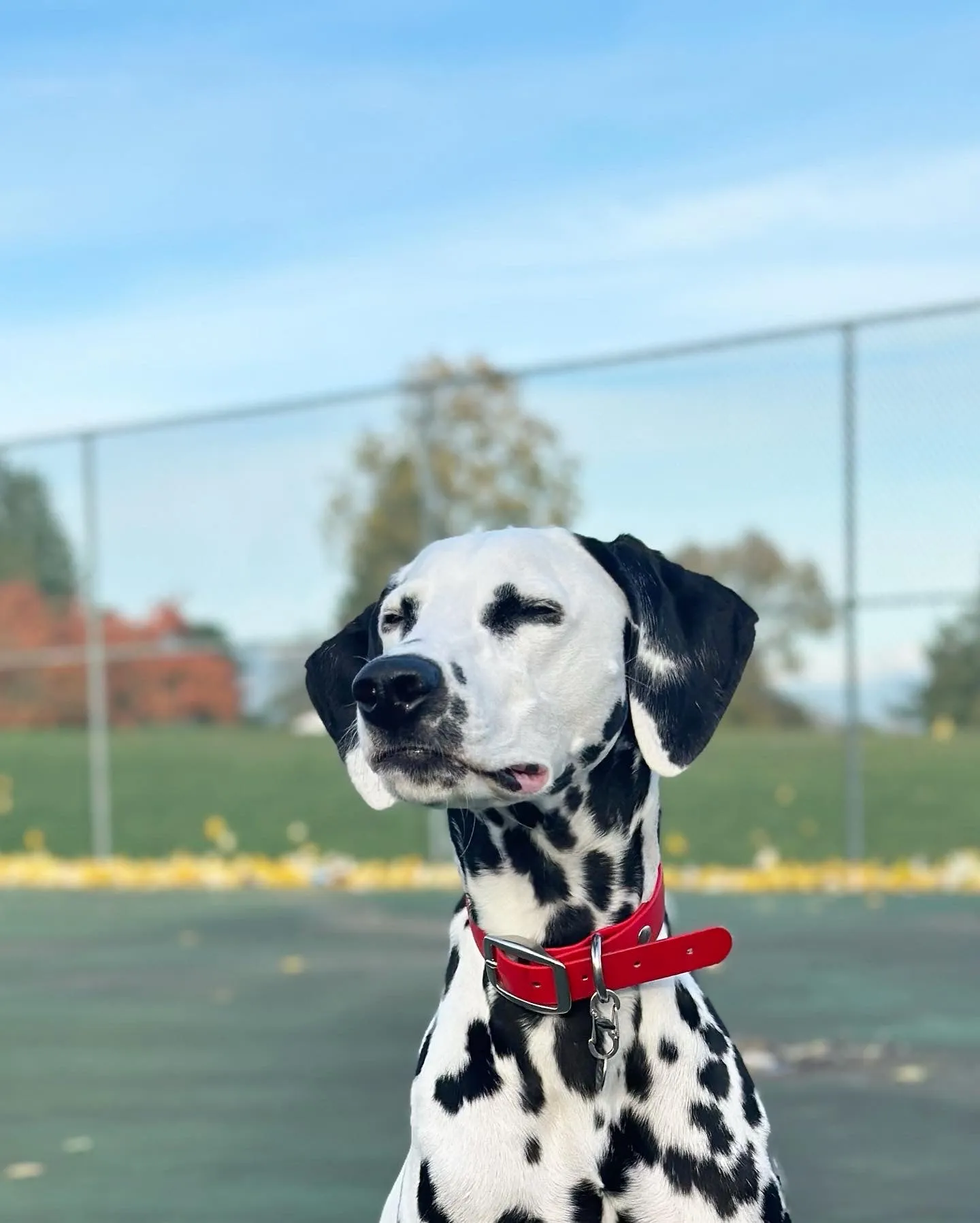 Walk By Good Boy - Biothane Collar - Chili